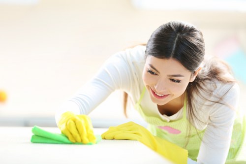 Health and safety review for a carpet cleaning team