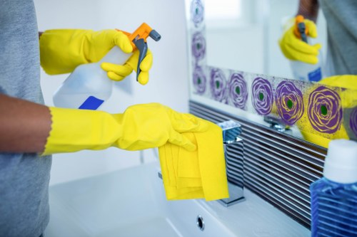 Documenting a carpet cleaning concern for assessment